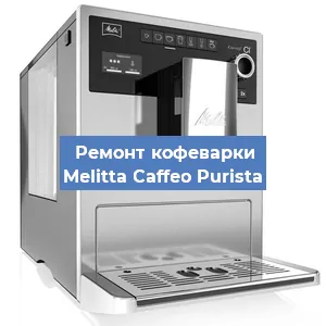 Ремонт капучинатора на кофемашине Melitta Caffeo Purista в Челябинске